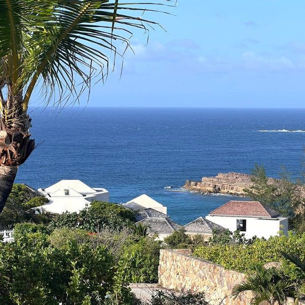 picture of the water and beach front properties in st. barts